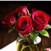 user5310586211759