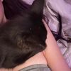 sleepy_sav
