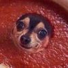 soupdoggydogg9490