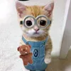 ggbbiiell