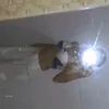gabrielasofia12