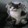 emilioaxelmartine