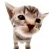 meowltuff