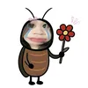 bongiuu1_08