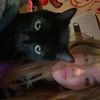 lyss_2205