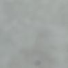 gshw199