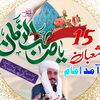 naqvisyed7212
