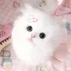lynhngan0