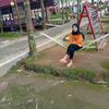 dewilestarii20