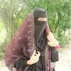 mamun69506