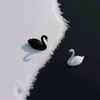 mirza_sab053