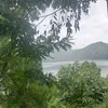 tuannamora20