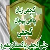 shahzaibhussain387