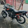black.tiger942