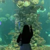 nghannn__011
