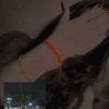 _ruth_204