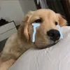tienlaai32