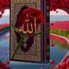 user4661817023508