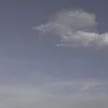 _umam23