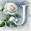 iham724
