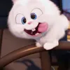 kennynguyenn_