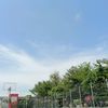 syaifa_12