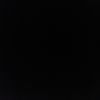 hauk_nn