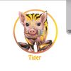 el tigre puerco araña