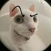 web.raissa10
