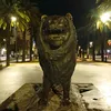 abdelilah8881