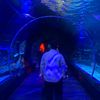 muhammadrzky_27
