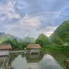 biencuongxanh23