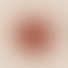 la_nns_