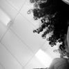 chinito_t0