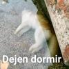 dejen_dormir_3