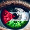 user2zro9qit65