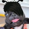 emoggle_enjoyer