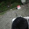 muhammad.afandi.s0