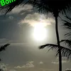 user911002383