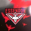 essendon_bombers_dons2