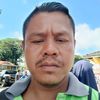 zul3813010954784