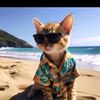 mohamedyousif41