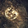 cosmicmoon999