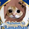 afiqa8790