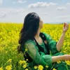 itssunflowers2