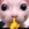sapo_cring