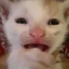 theryeguy1