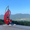 selacorry