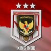 jnk_mb