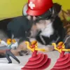 polskie.wyburowe